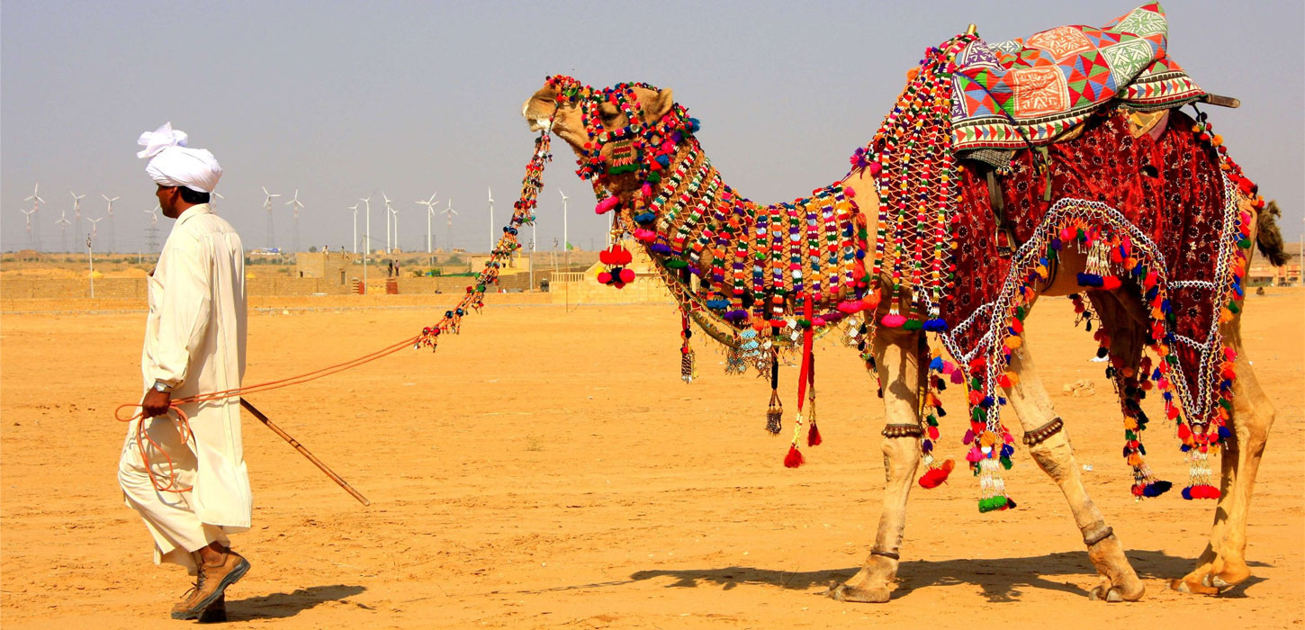 camel-safari-in-pushkar