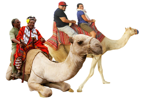 camel-safari-pushkar