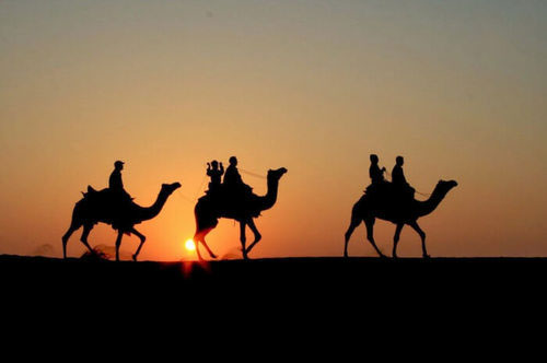 over-night-camel-safari