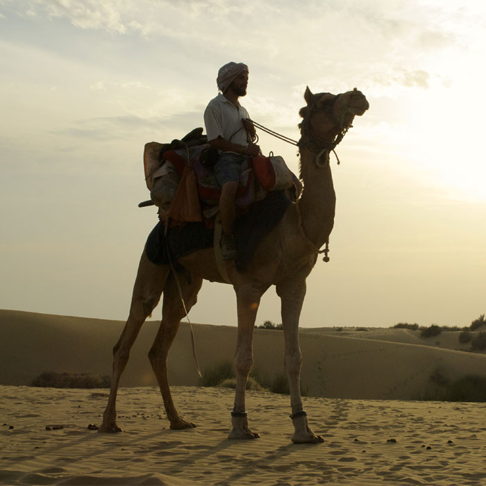 pushkar-camel-safari